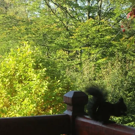 U Wujcia Privat bolig Wisła