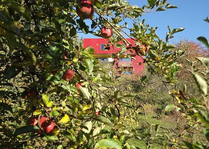 Privatunterkunft U Wujcia Weichsel