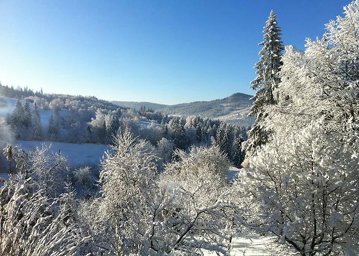 U Wujcia Privatunterkunft *