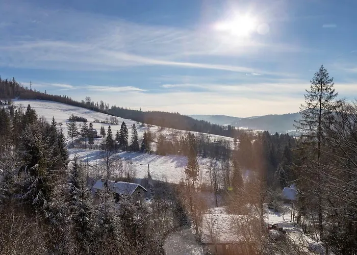 בית אירוח U Wujcia ויסלאו