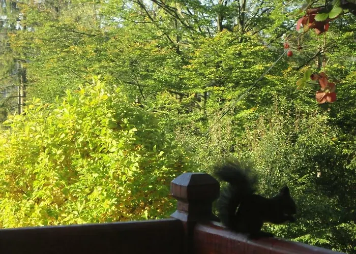 U Wujcia בית אירוח ויסלאו